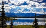 denali-national-park-1733313